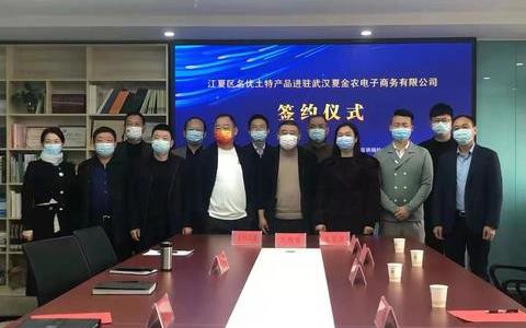 五家企业入驻武汉夏金农电商平台,打通农旅产品销售“最后一公里”